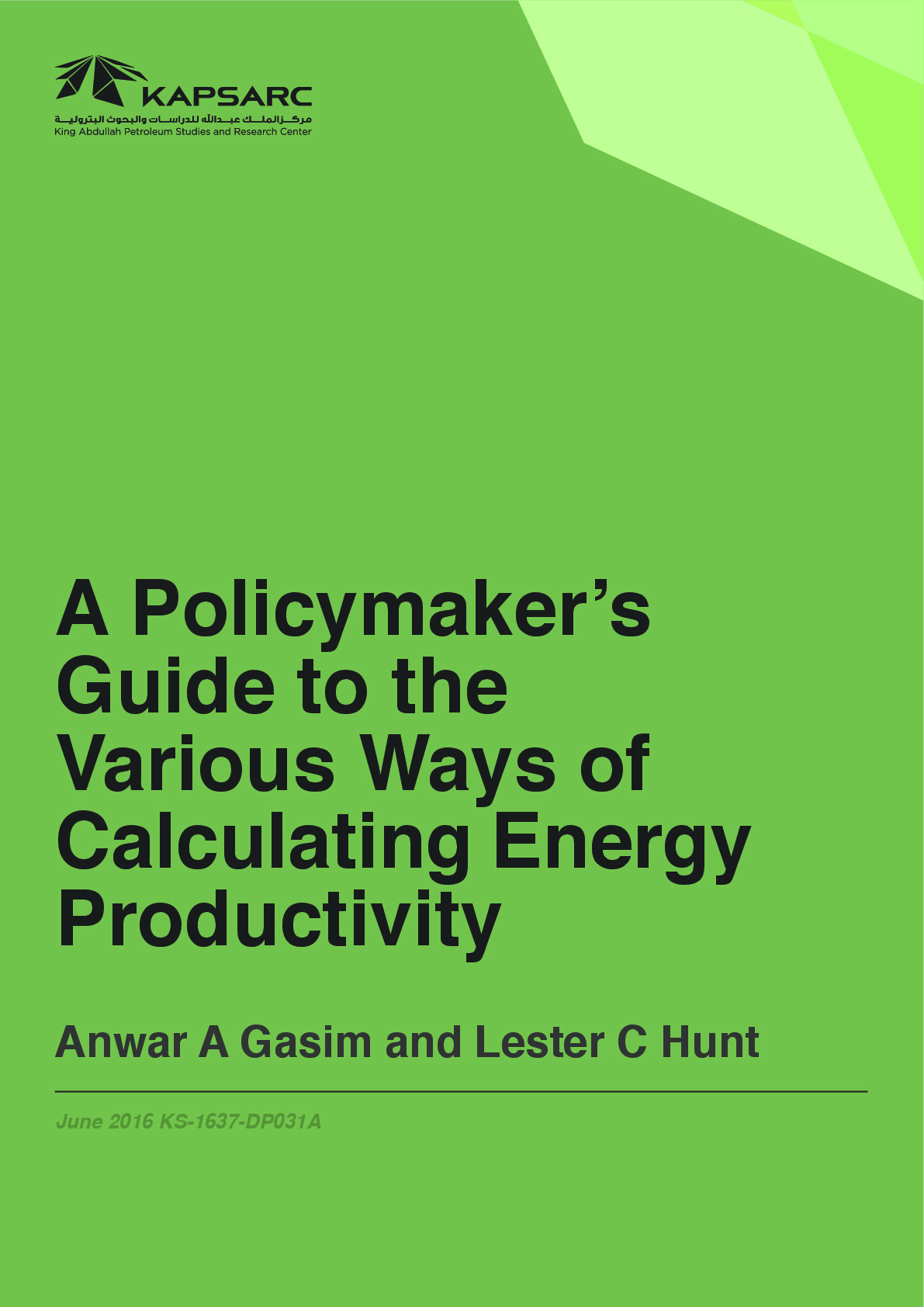 Policymakers Guide to the Various Ways of Calculating Energy Productivity (1)