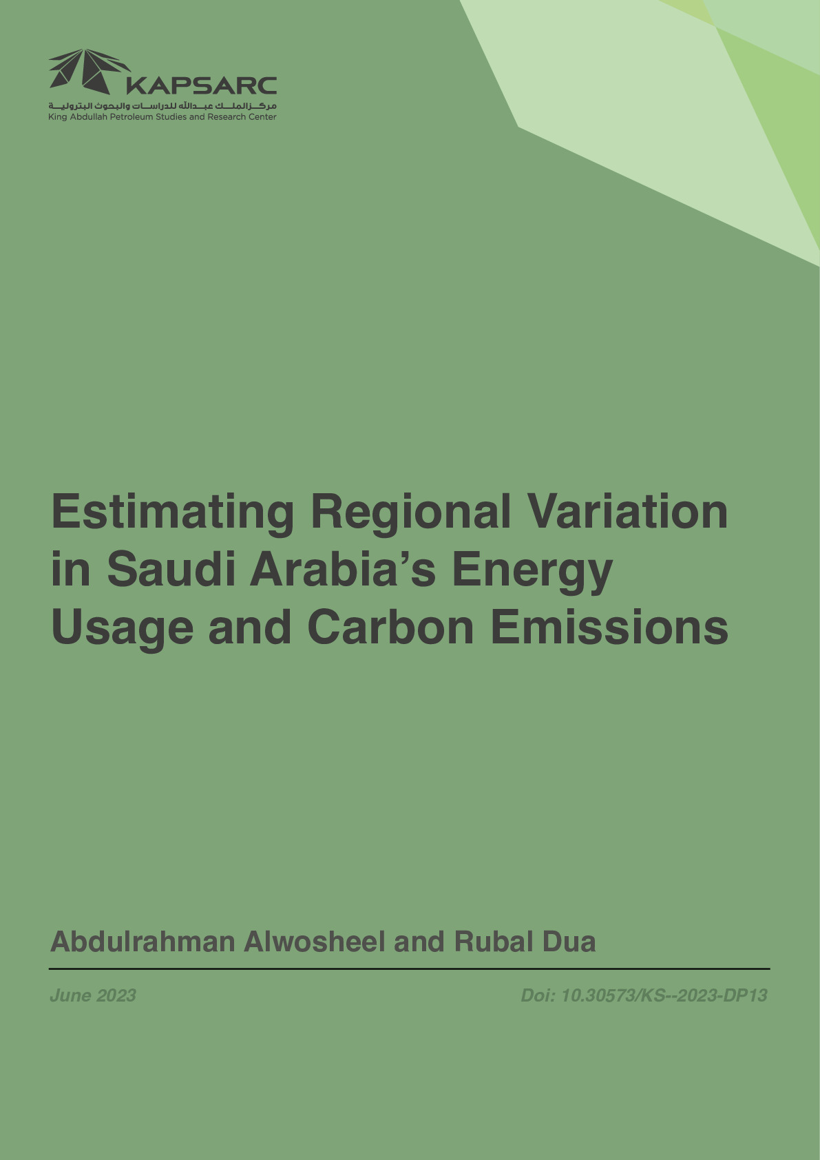 Estimating Regional Variation in Saudi Arabia’s Energy Usage and Carbon Emissions (1)