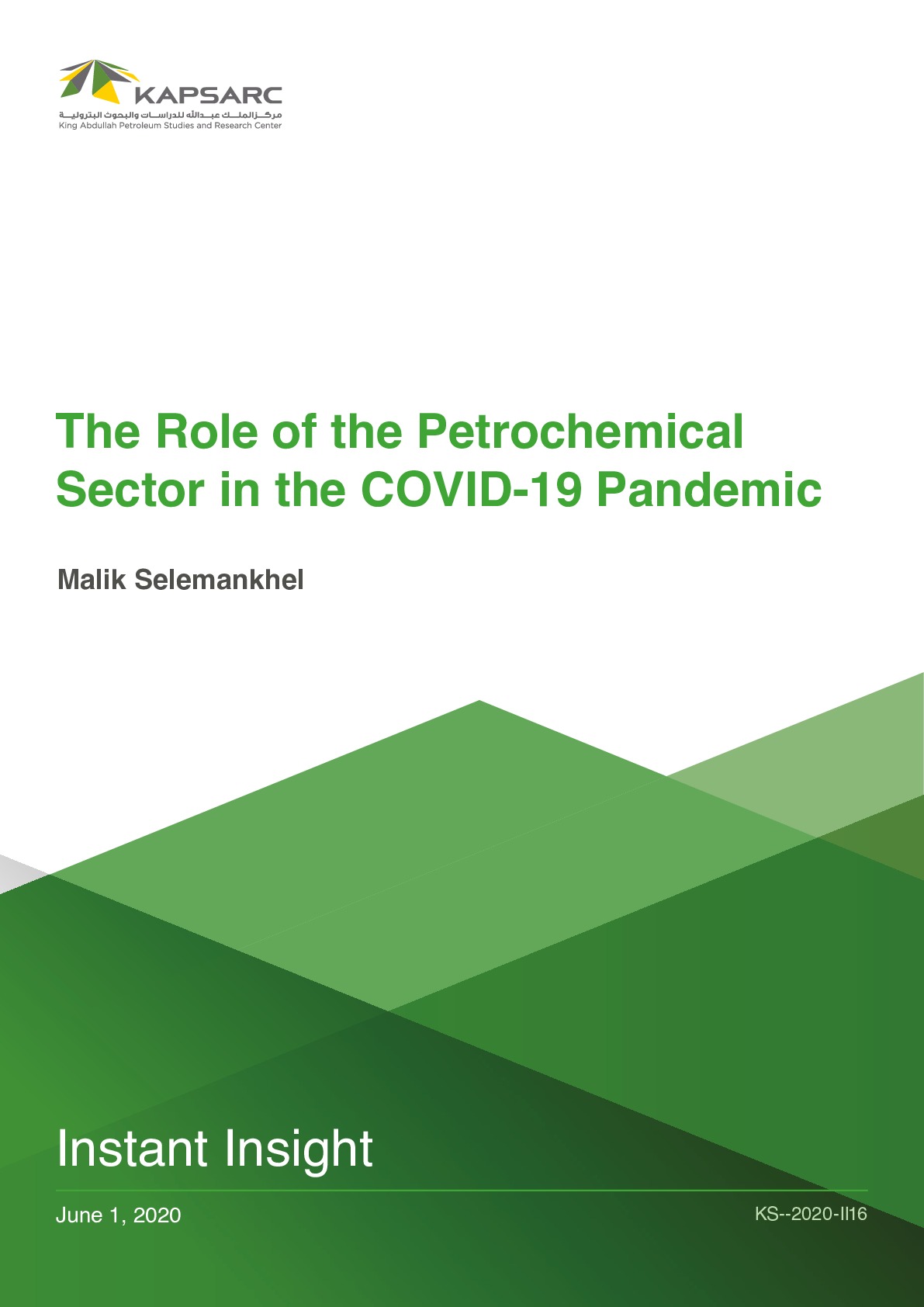 The Role of the Petrochemical Sector in the COVID-19 Pandemic (1)