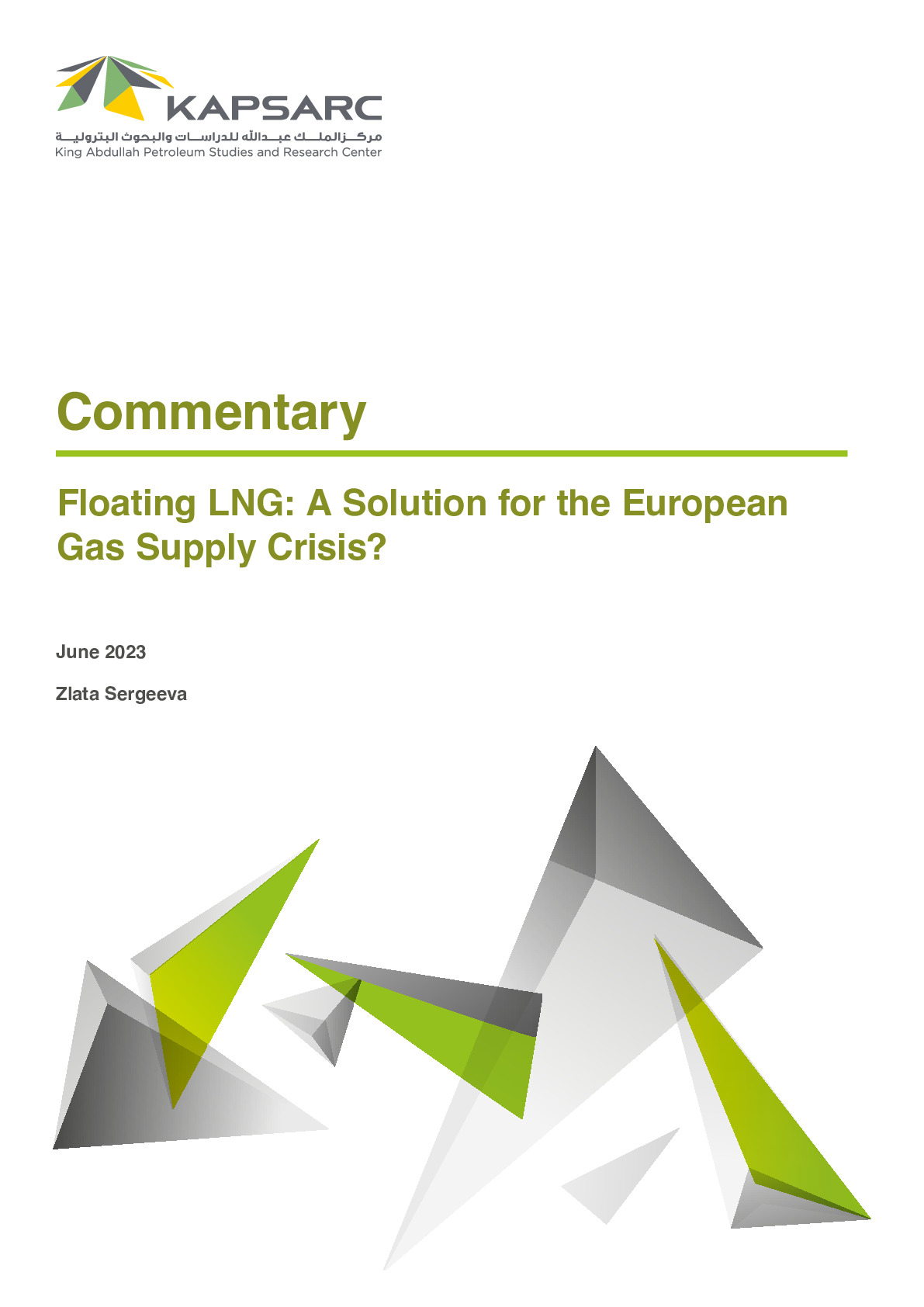 Floating LNG: A Solution for the European Gas Supply Crisis? (1)