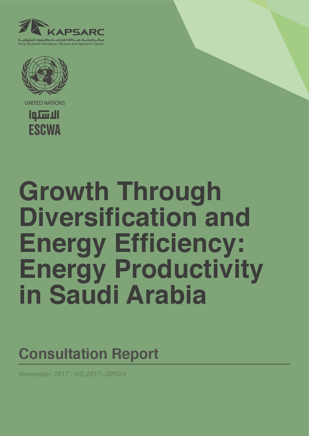 Growth Through Diversification and Energy Efficiency: Energy Productivity in Saudi Arabia (1)