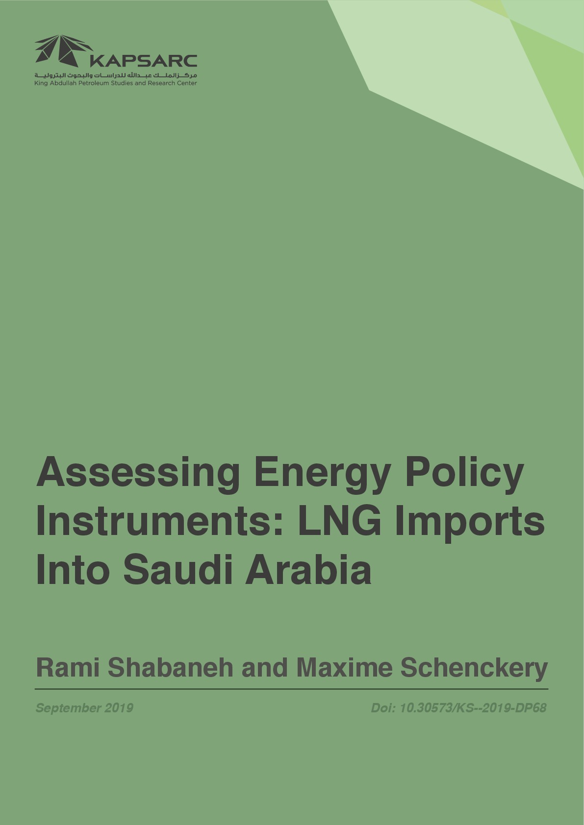 Assessing Energy Policy Instruments: LNG Imports Into Saudi Arabia (1)