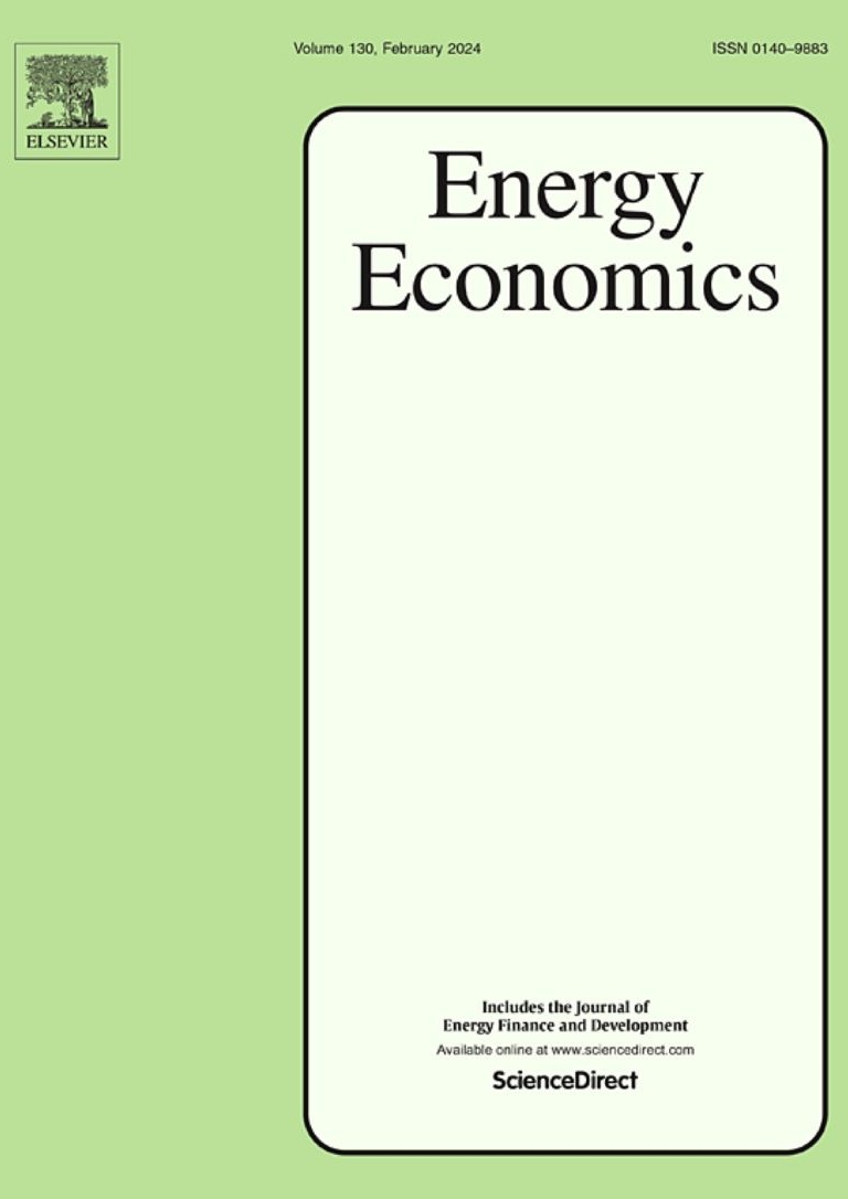 Long-term Issues with the Energy-Only Market Design in the Context of Deep Decarbonization