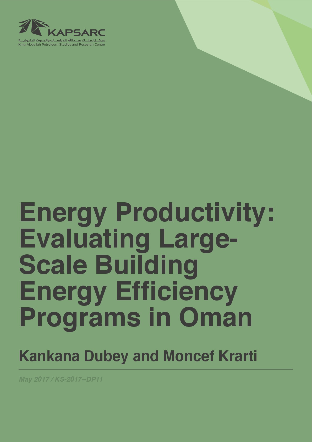 Energy Productivity: Evaluating Large-Scale Building Energy Efficiency Programs in Oman (1)