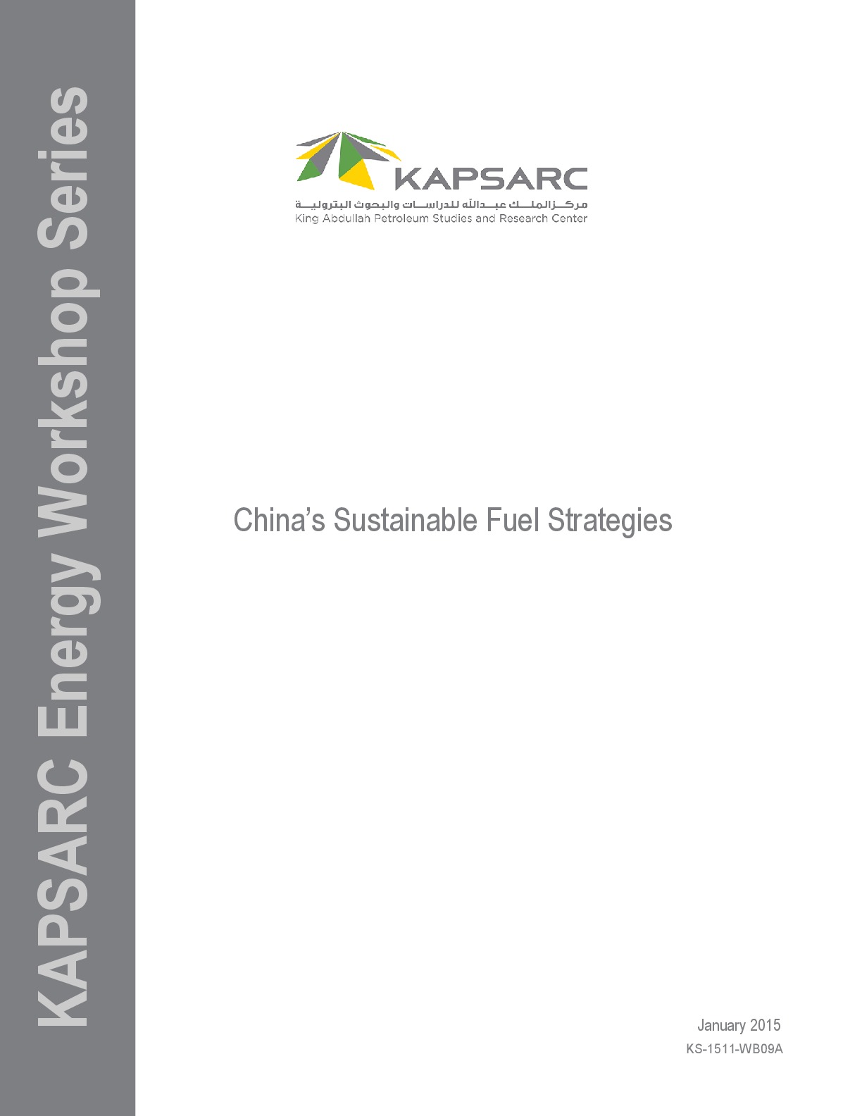 China&amp;#8217;s Sustainable Fuel Strategies (1)