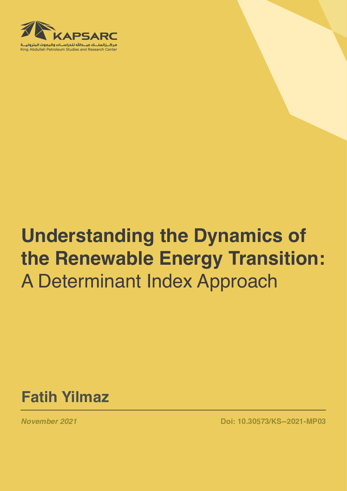 Understanding the Dynamics of the Renewable Energy Transition: A Determinant Index Approach (1)