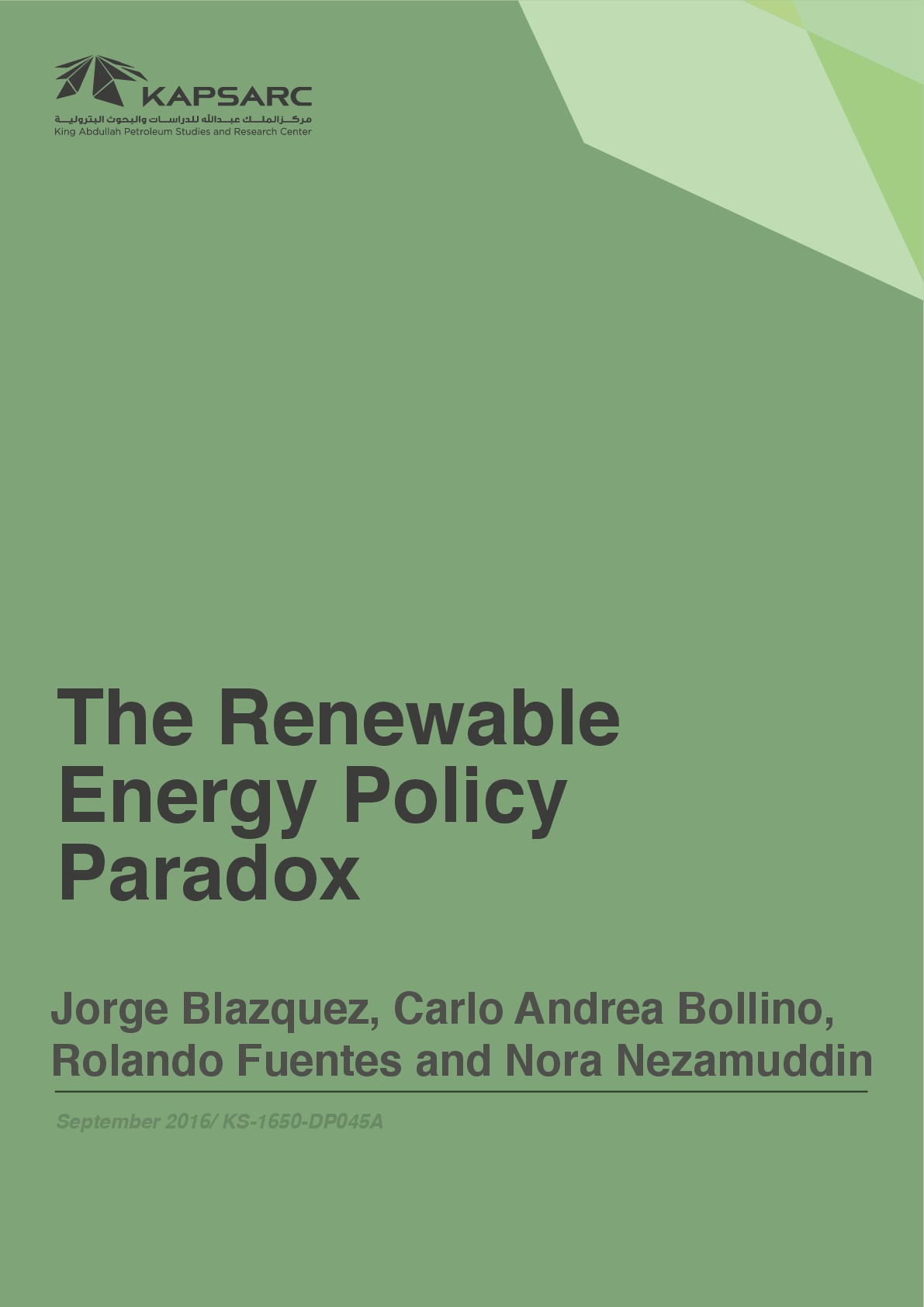 The Renewable Energy Policy Paradox (1)