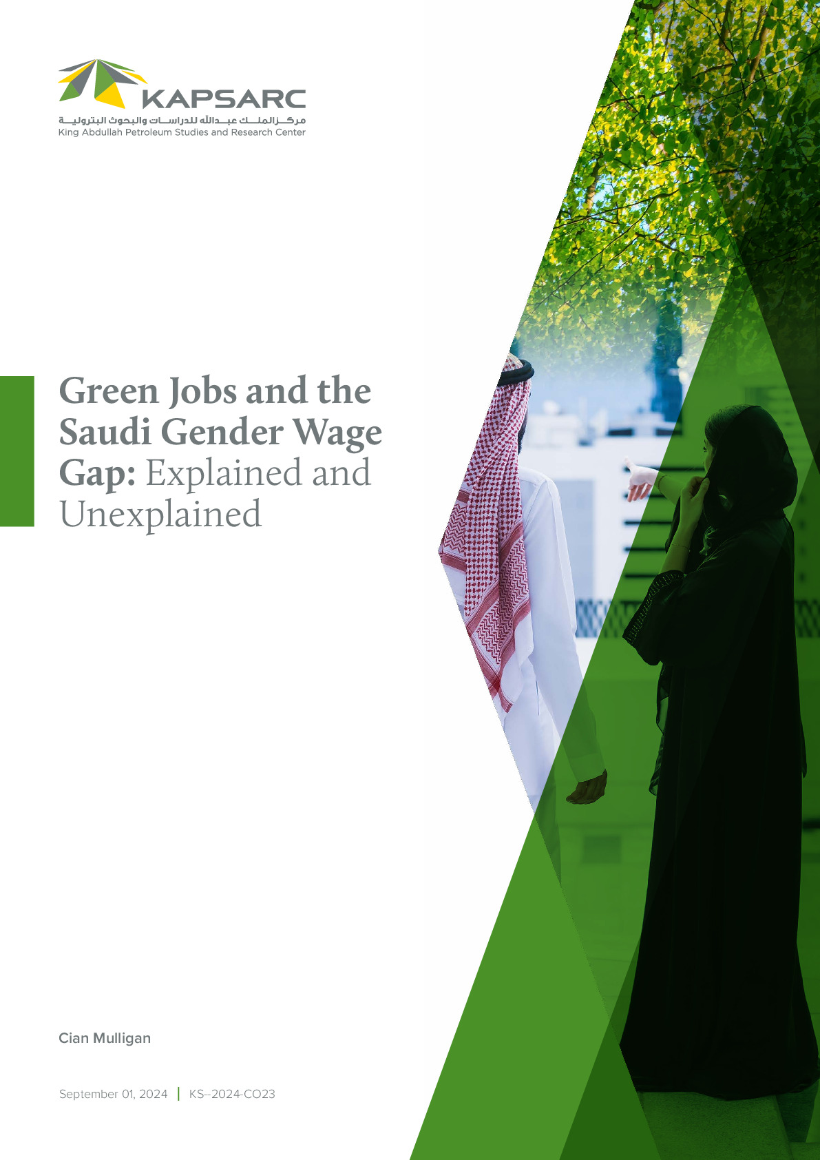 Green Jobs and the Saudi Gender Wage Gap: Explained and Unexplained (1)