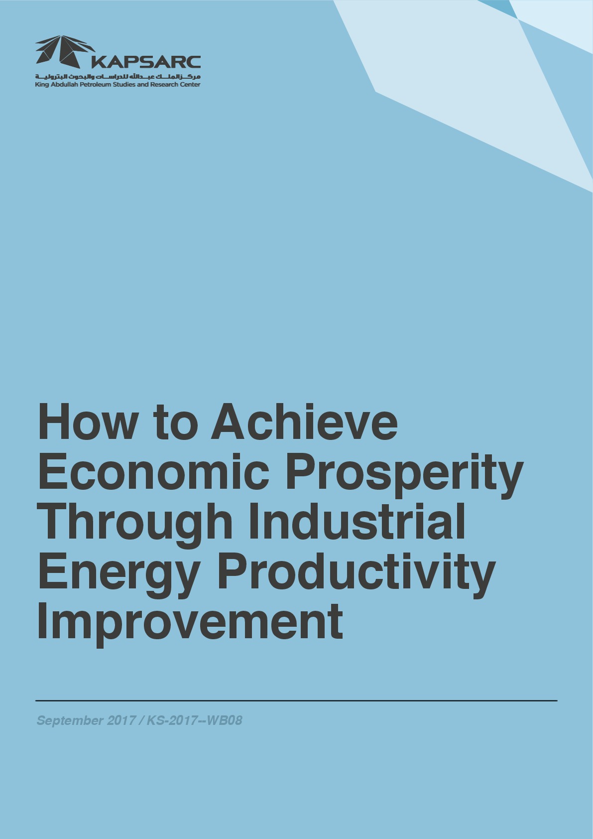 How to Achieve Economic Prosperity Through Industrial Energy Productivity Improvement (1)