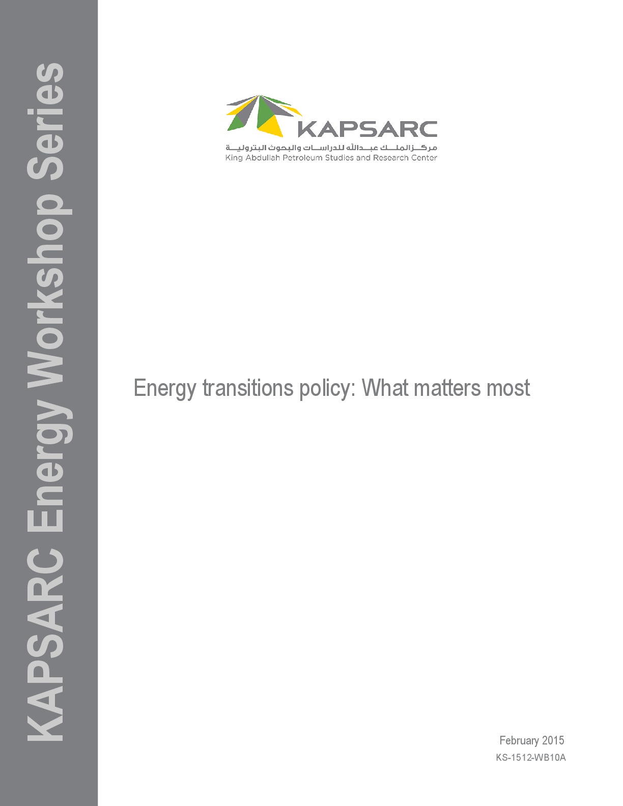 Energy transitions policy: What matters most (1)