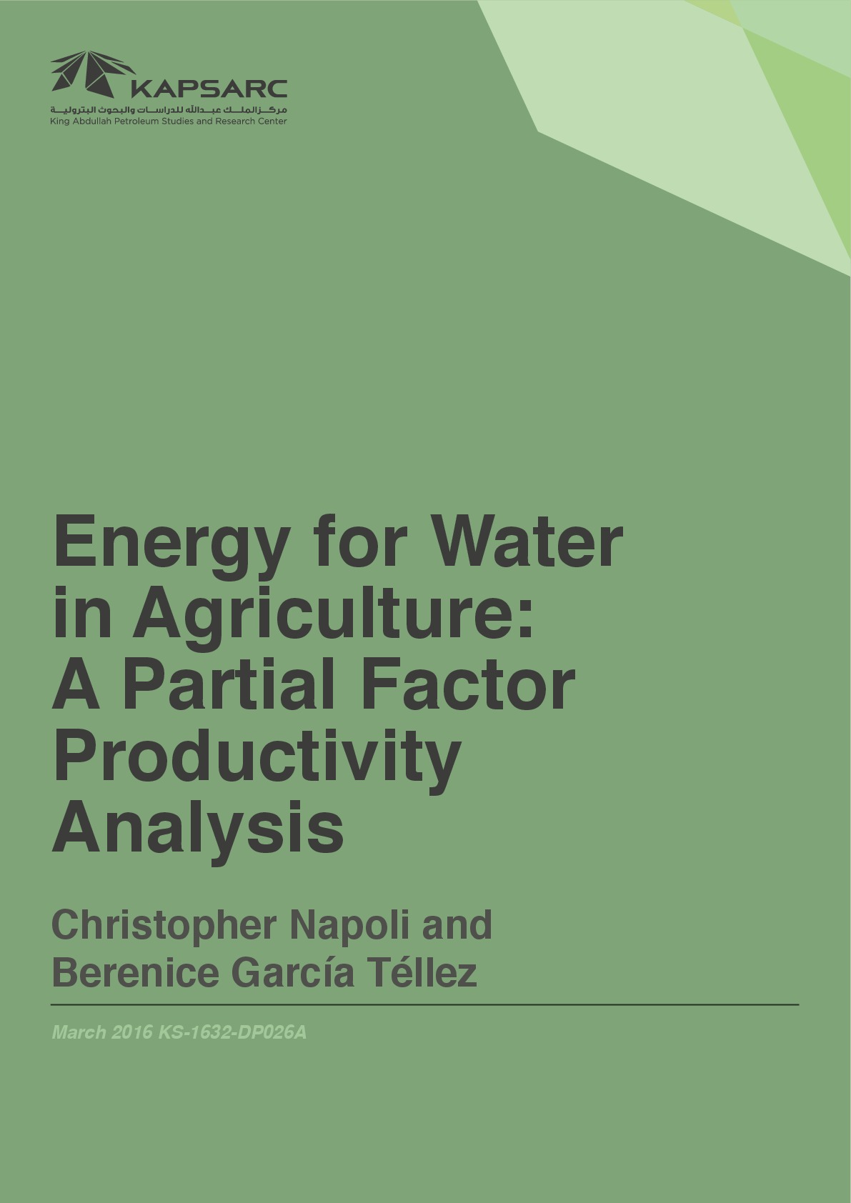 Energy for Water in Agriculture: A Partial Factor Productivity Analysis (1)