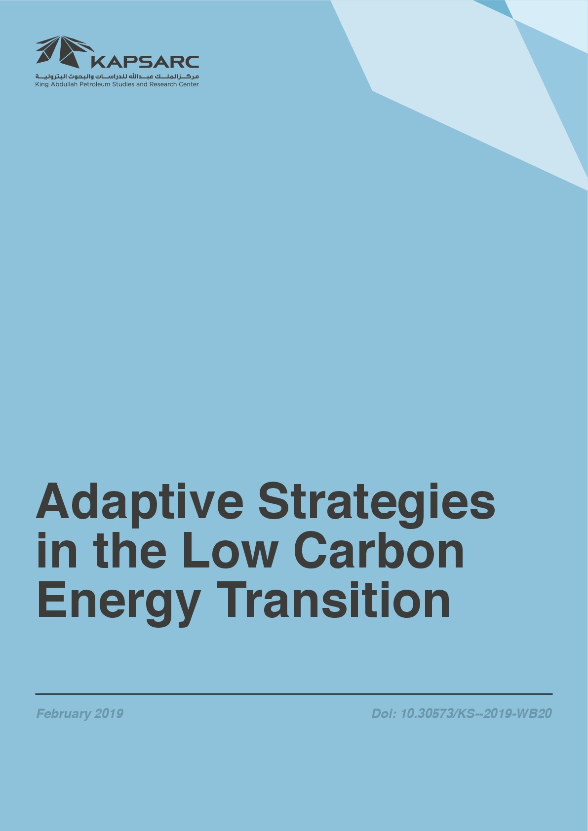 Adaptive Strategies in the Low Carbon Energy Transition (1)