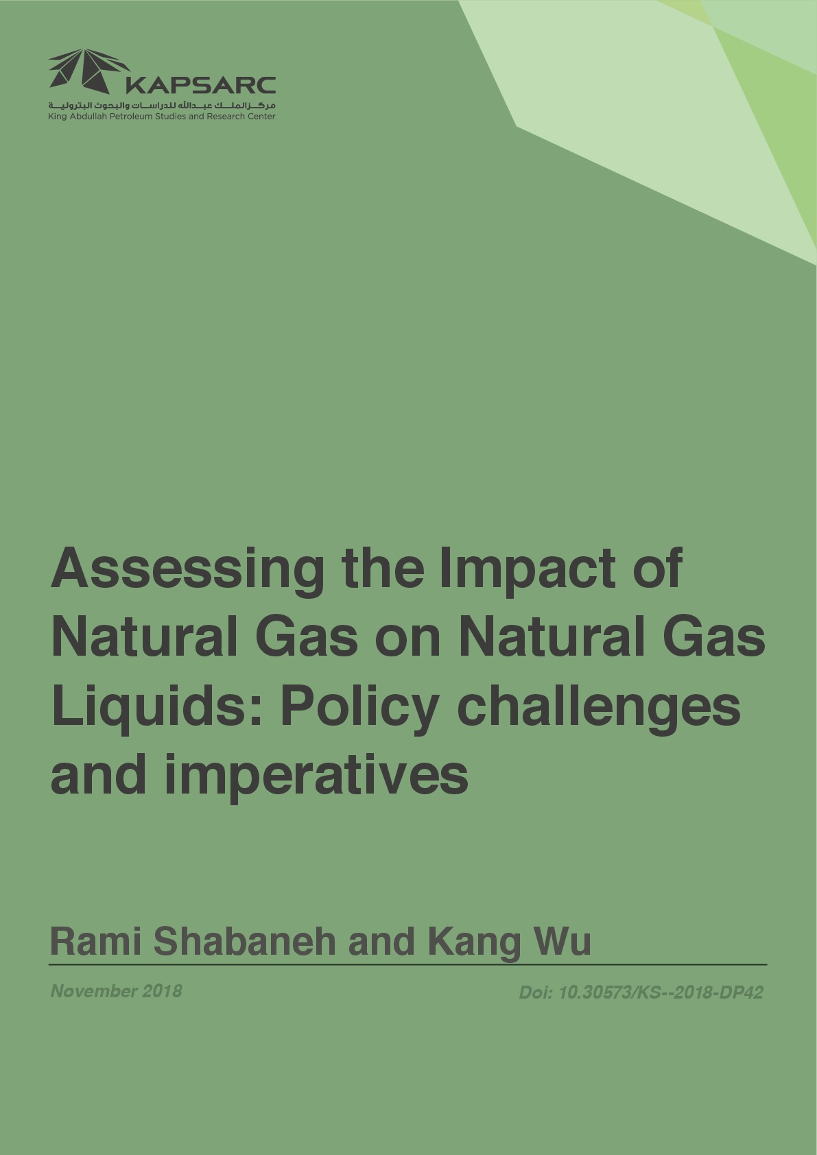 Assessing the Impact of Natural Gas on Natural Gas Liquids: Policy Challenges and Imperatives (1)