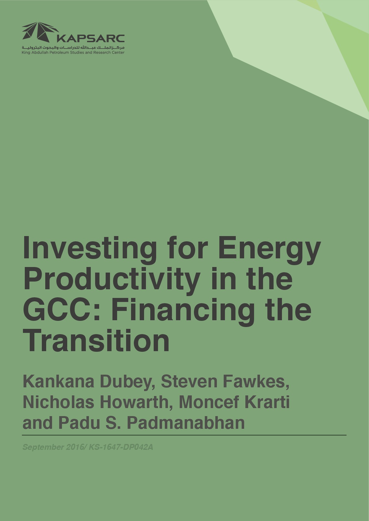 Investing for Energy Productivity in the GCC &amp;#8211; Financing the Transition (1)