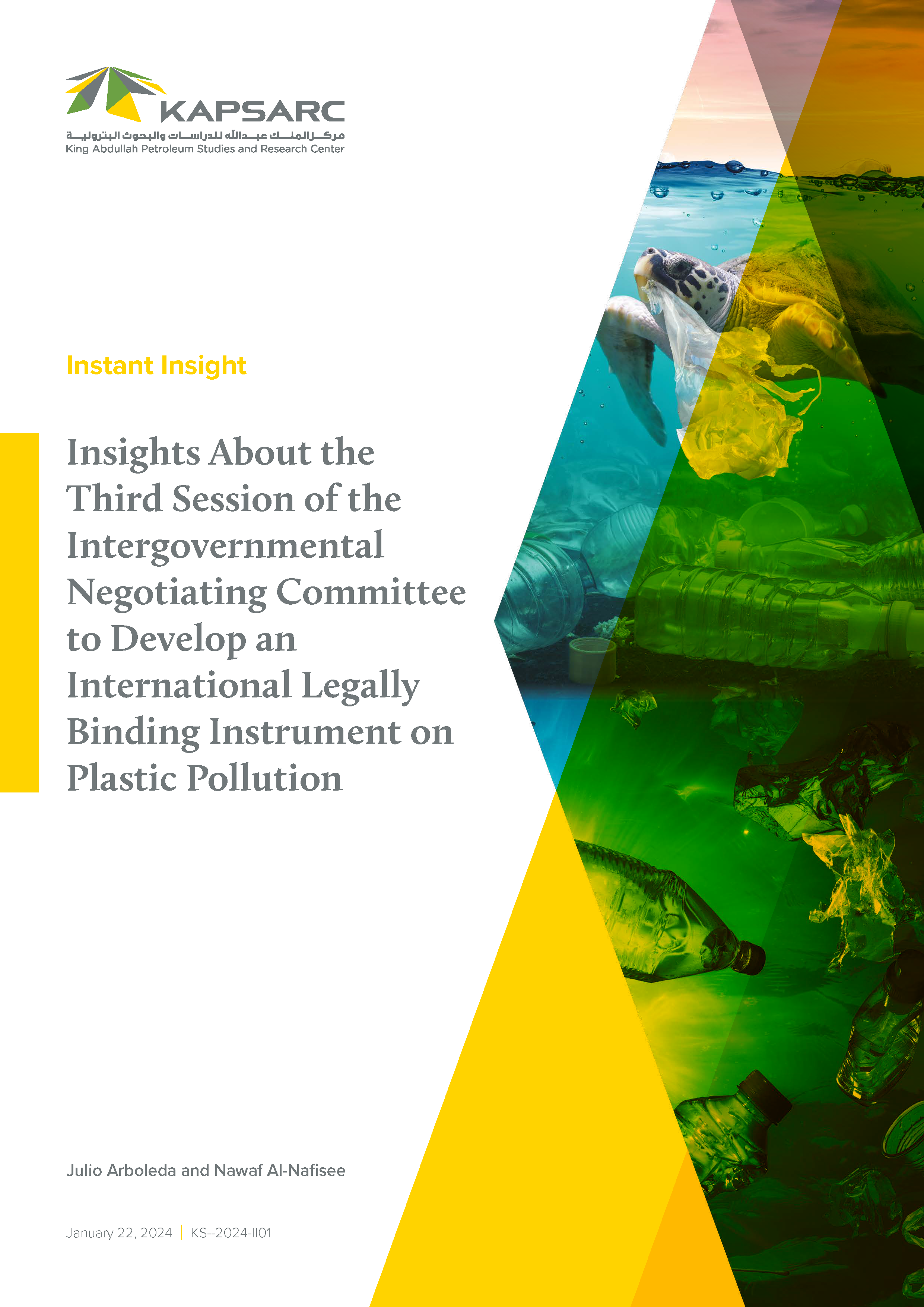 Insights About the Third Session of the Intergovernmental Negotiating Committee to Develop an International Legally Binding Instrument on Plastic Pollution (1)